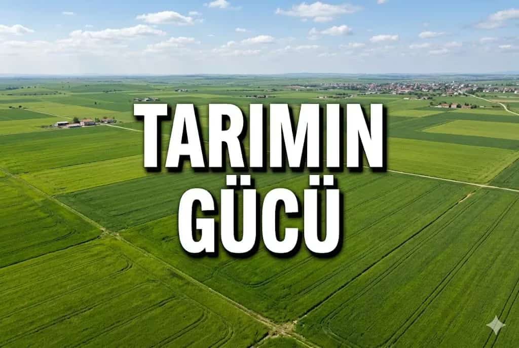 Karakasım ve Bosnaköy: Modern Tarımda Toplulaştırma ve Yatırım Avantajı