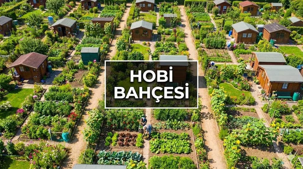 Hobi Bahçesi Kurmanın Maliyeti ve Yasal İzinler: 2026 Rehberi