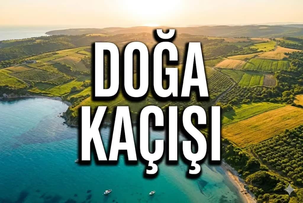 Saros'un Kıyısında İnziva: Gelibolu Köylerinde Tiny House ve Ekolojik Yaşam Projeleri