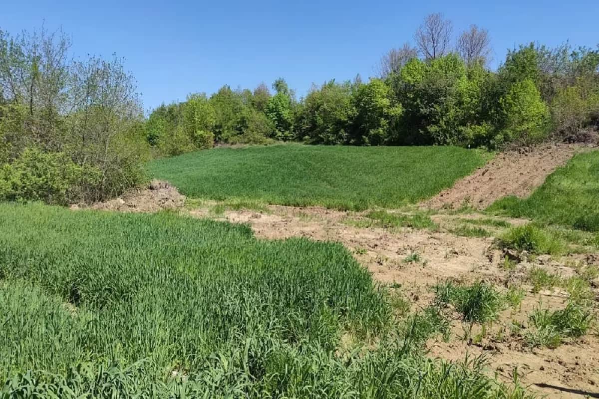 Edirne Uzunköprü Yağmurca'da 130m² Resmi Yollu Yatırımlık Hisseli Tarla - Fırsat Fiyat - Görsel 1