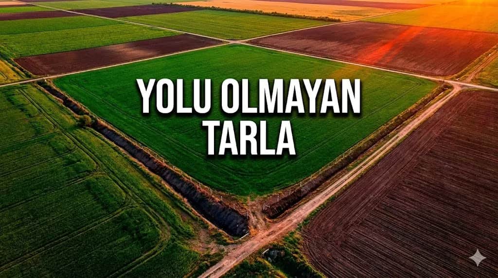 Yolu Olmayan Tarlaya "Yol Hakkı" Nasıl Alınır? Geçit Hakkı Davası
