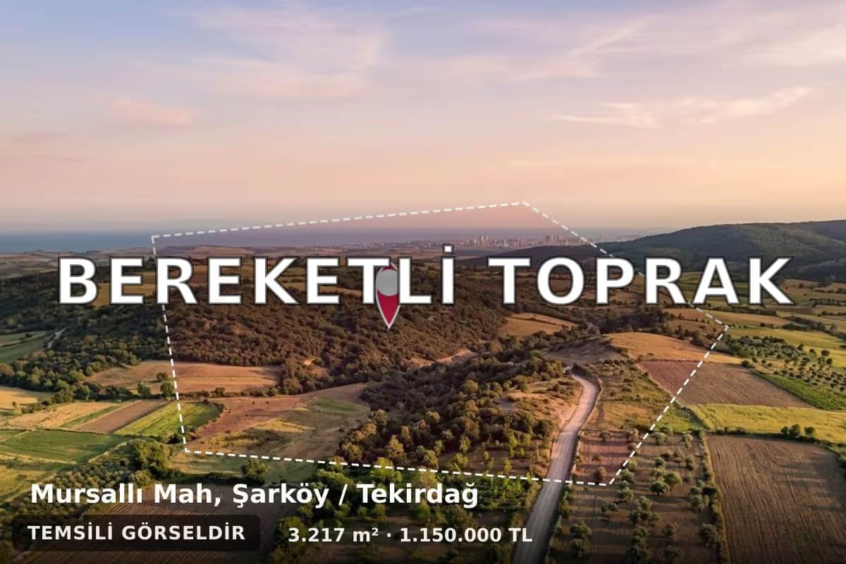Şarköy Mursallı Mahallesi'nde Yatırımlık Tarla: Denize Yakın Köşe Parsel İncelemesi