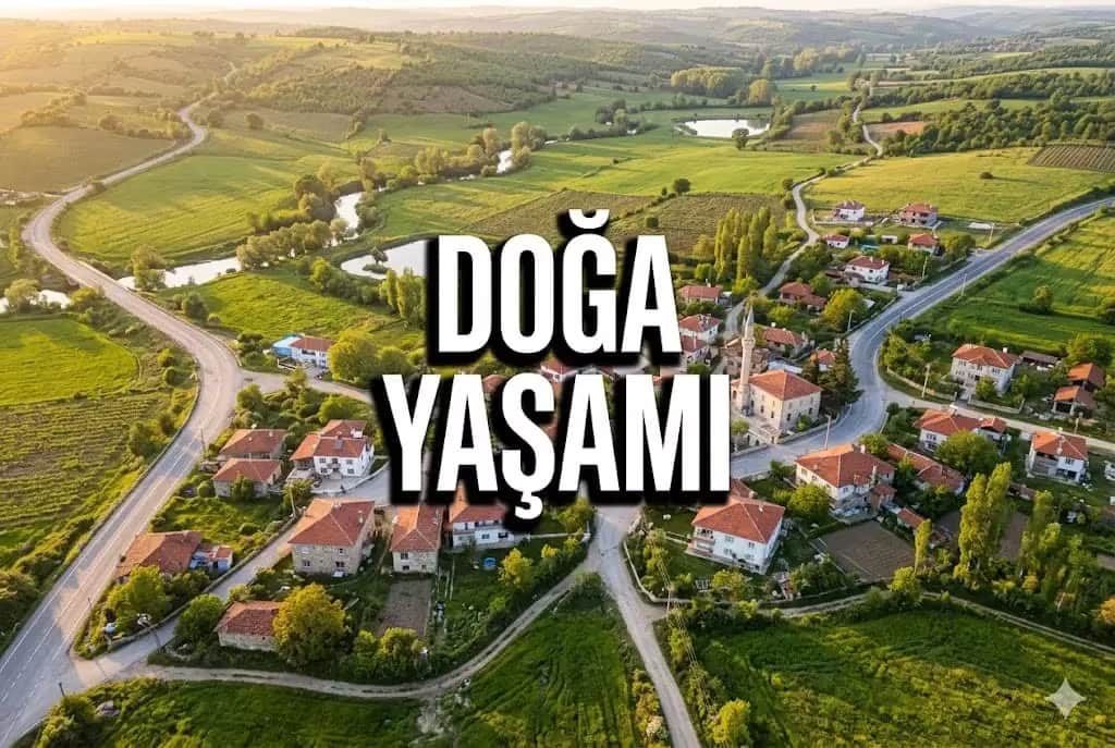 Merkez Köylerinde Doğa Yaşamı: Tiny House ve Altyapı Konforu