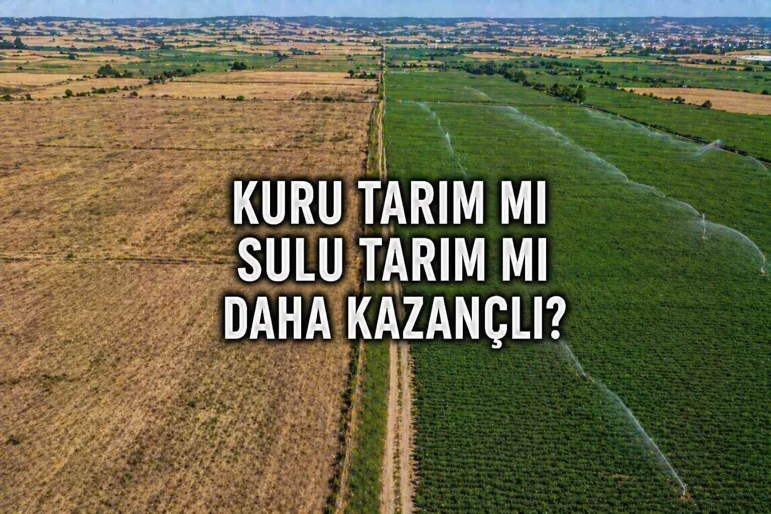 Malkara’da Kuru Tarım mı Sulu Tarım mı? Hangi Model Daha Kazançlı?