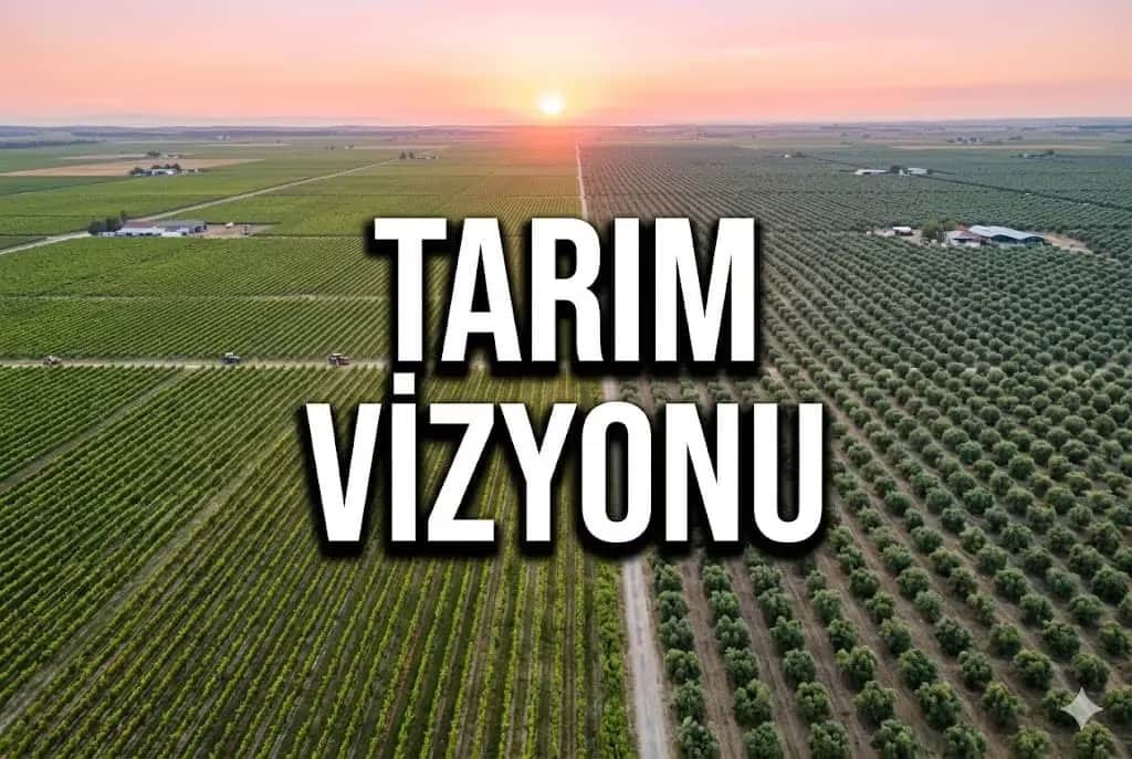 Zeytinlik ve Bağ Parselleri: Gelibolu Ovalarında Yeni Nesil Tarımsal Kazanç
