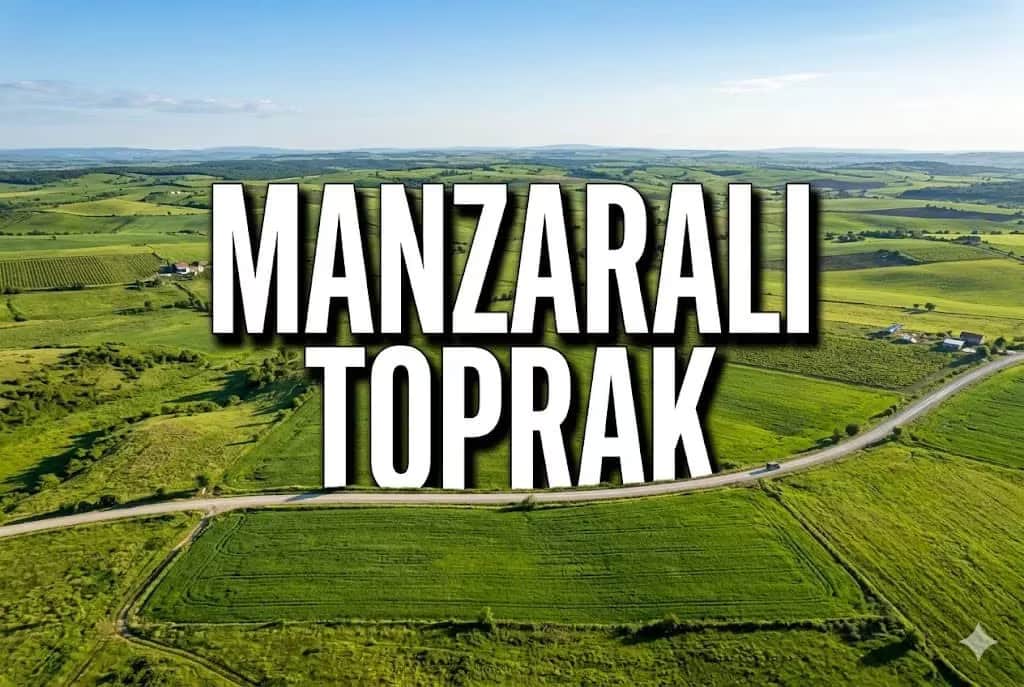 Toprak Yatırımında Altın Oran: Stabilize Yollu Dikdörtgen Parsellerin Değer Analizi