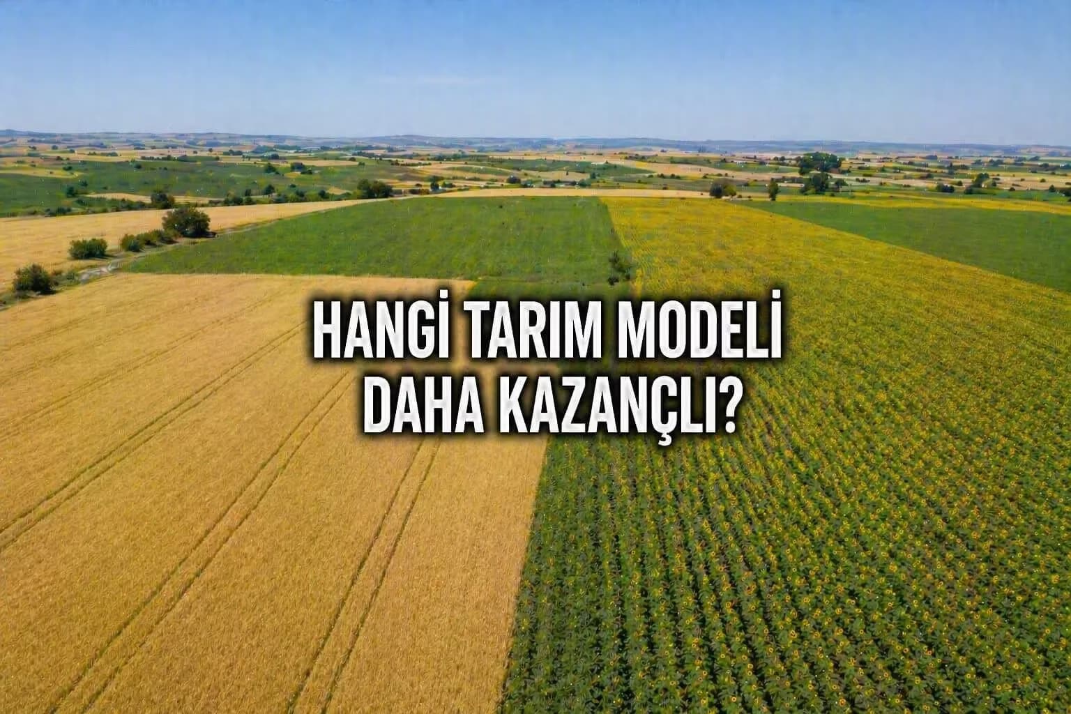Süloğlu’nda Hangi Tarım Modeli Daha Kazançlı? Ürün ve Verim Analizi