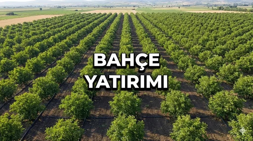 Trakya'da Ceviz ve Badem Bahçesi: Hazır mı, Sıfırdan mı?