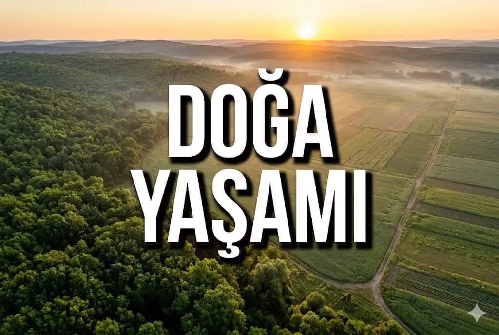 Kırklareli Köyleri: Doğa Yaşamı ve Tiny House Fırsatları
