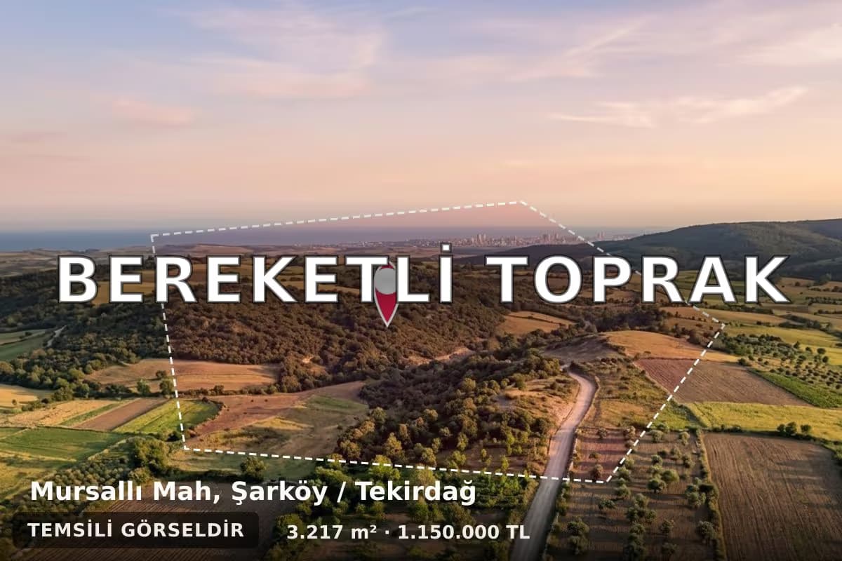Şarköy Mursallı Mahallesi'nde Yatırımlık Tarla: Denize Yakın Köşe Parsel İncelemesi