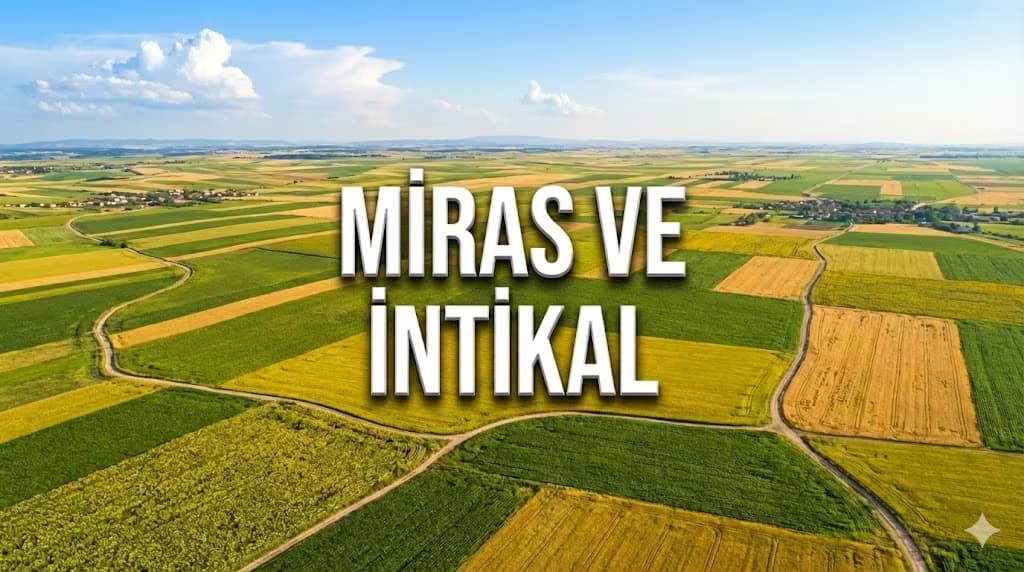 Miras Kalan Tarla Nasıl Satılır? İntikal İşlemleri ve Hissedar Çözümleri