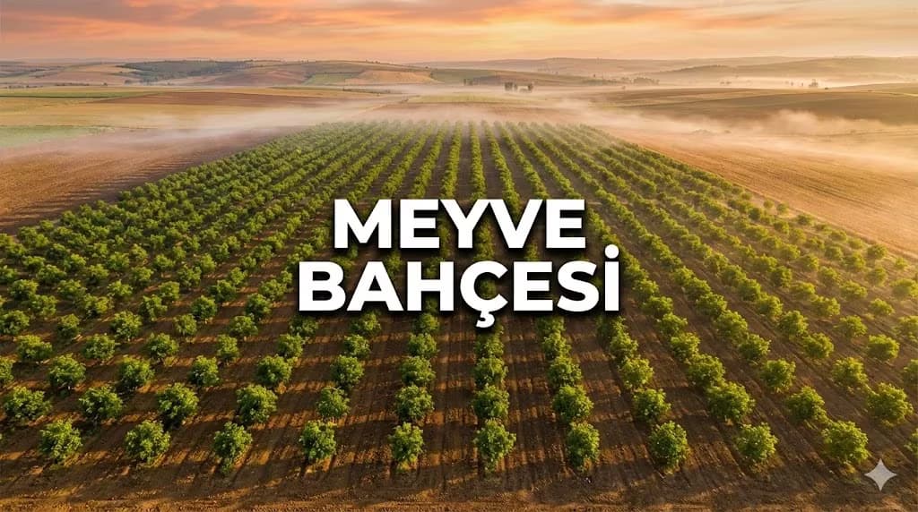 Trakya'da Meyve Bahçesi Kurmak: Devletin "Fidan Desteği" ve Hibe Şartları 2026