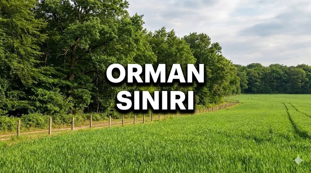 Ormana Komşu Tarla Alınır mı? Orman Şerhi ve Yapılaşma Yasağı