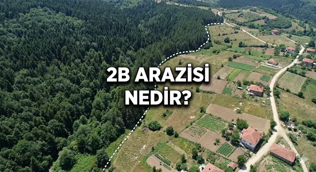 2B Arazisi Nedir, Alınır mı? Tapusuz "Orman Vasfını Yitirmiş" Yerler