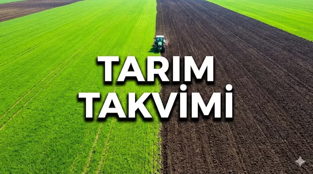 Arazide Gübreleme ve Sulama Takvimi: Trakya İkliminde Maksimum Mahsul İçin İpuçları
