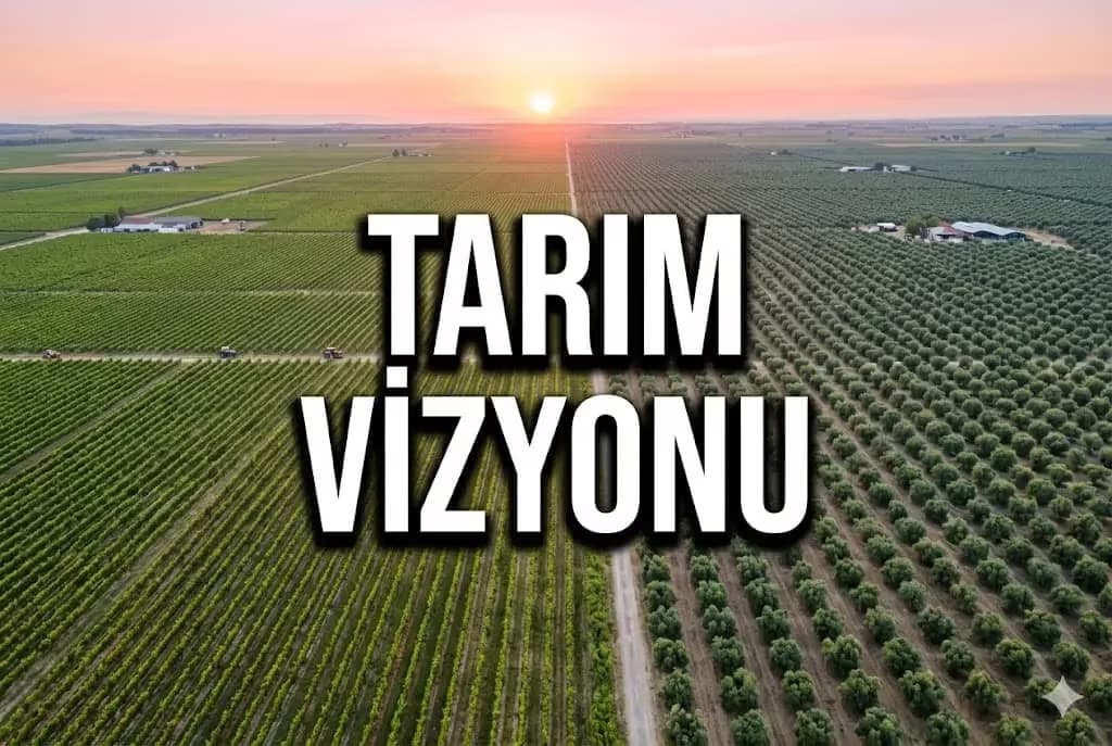 Zeytinlik ve Bağ Parselleri: Gelibolu Ovalarında Yeni Nesil Tarımsal Kazanç