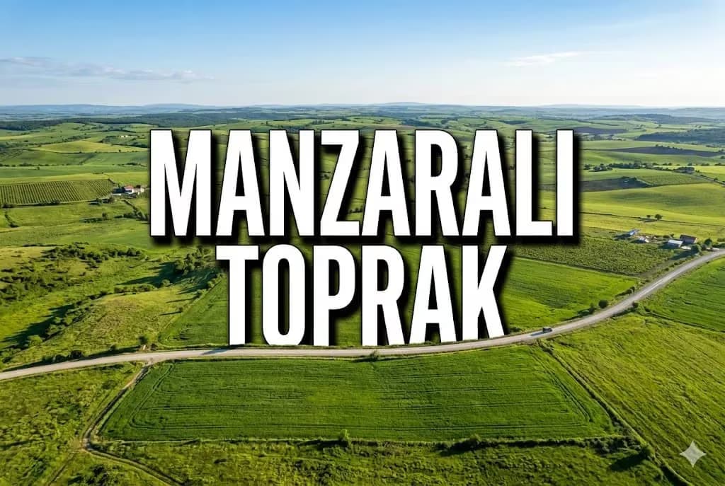 Toprak Yatırımında Altın Oran: Stabilize Yollu Dikdörtgen Parsellerin Değer Analizi