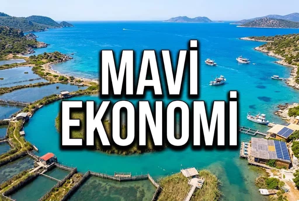 Ege’de Mavi Ekonomi ve Modern Hayvancılık: Enez’in Üretim Gücü