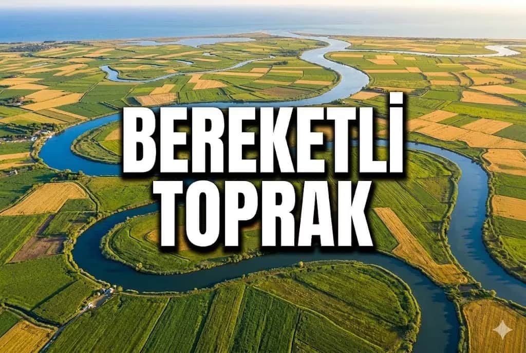 Meriç Deltası ve DSİ Sulama Projeleri: Enez'de Verimli Tarım ve Çeltik