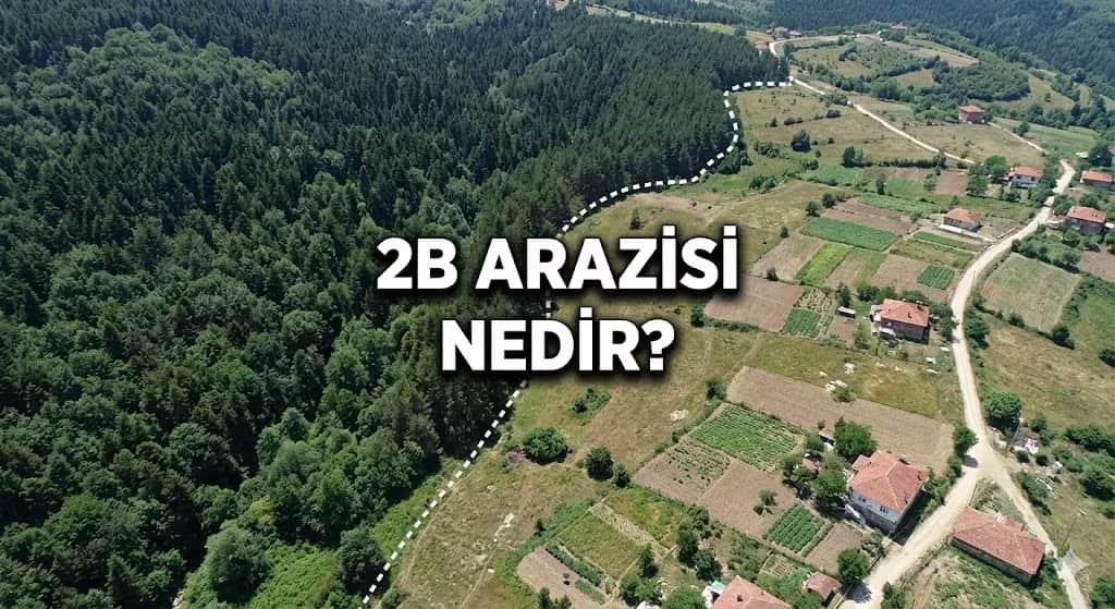 2B Arazisi Nedir, Alınır mı? Tapusuz "Orman Vasfını Yitirmiş" Yerler